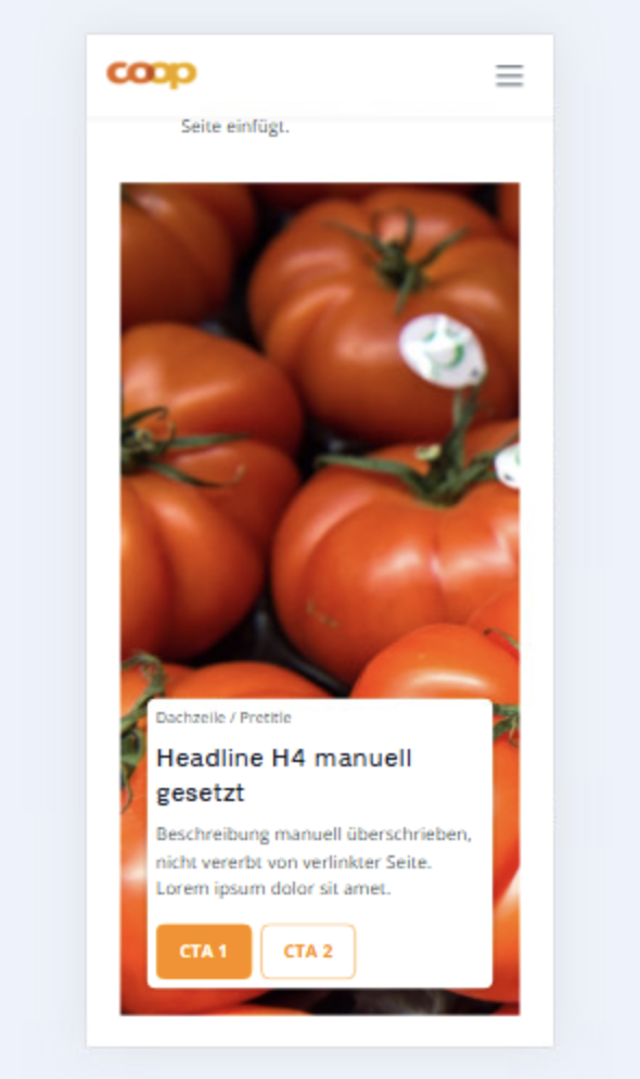 Screenshot der mobilen Darstellung der Teaser Stage auf einem iPhone 14 Pro Max
