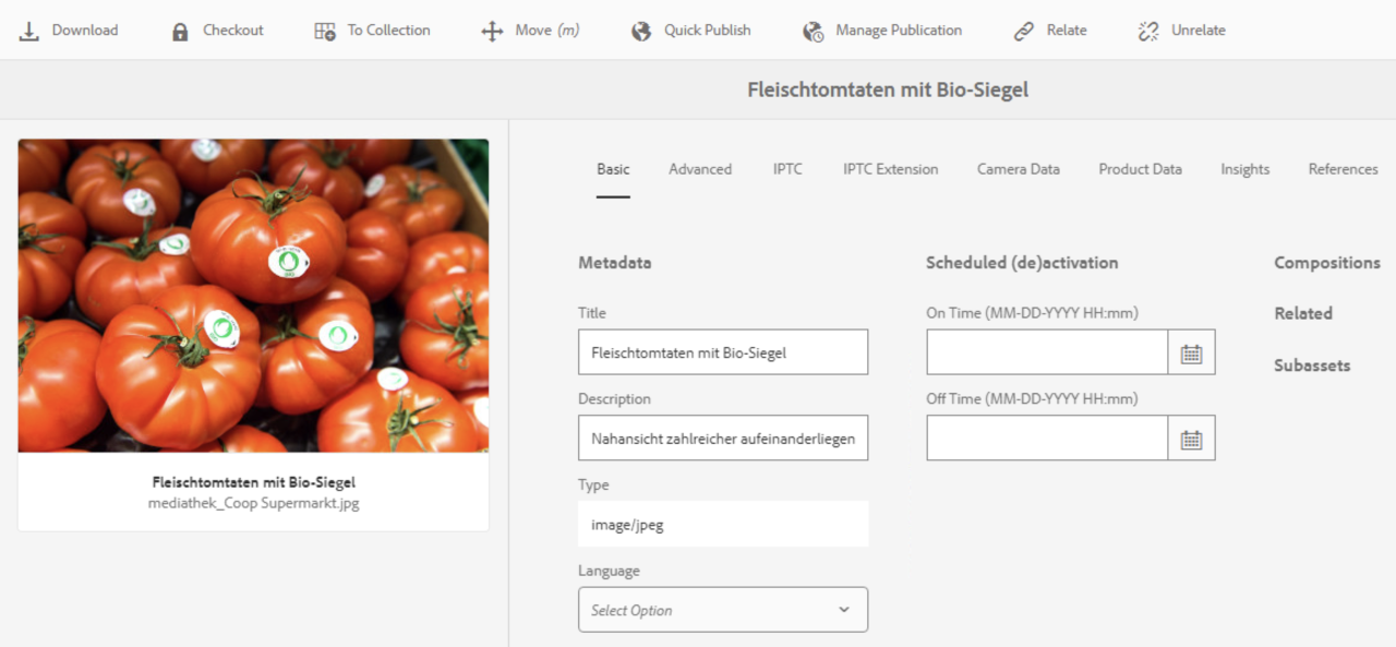 Bilddatei im AEM-Backend mit ausgefülltem Basic Tab eines Beispielbildes