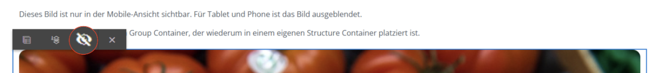 Bearbeitungsleiste Komponente in der Layout-Ansicht mit hervorgehobenem Augensymbol zum Ausblenden der Komponente
